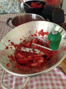 tomato grinder